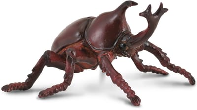 COLLECTA Figurine - Neushoornkever - (M) - Handgeschilderd - Miniatuur