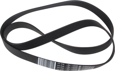 WHIRLPOOL - SNAAR POLY-V - 1310J8 ELAST - 481010388418