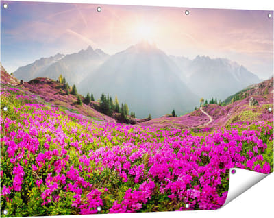 Gards Tuinposter Rhododendron Bloemenveld in de Alpen - 120x80 cm - Tuindoek - Tuindecoratie - Wanddecoratie buiten - Tuinschilderij