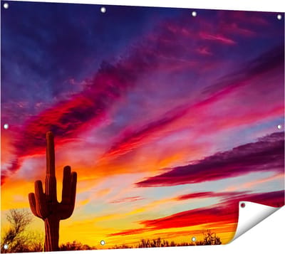 Gards Tuinposter Cactus bij Oranje Zonsondergang - 120x90 cm - Tuindoek - Tuindecoratie - Wanddecoratie buiten - Tuinschilderij