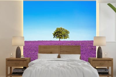 Behang - Fotobehang Boom - Paars - Lucht - Lavendel - Breedte 260 cm x hoogte 260 cm