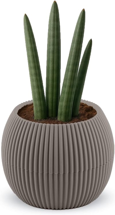 Omgoods - 15CM Zelfwaterende Bloempotten met Afvoer