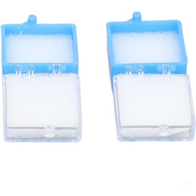 20 stuks Tandkroon Dozen met Schuim Plastic Tandbrug Dozen Prothese Kroon Veneer Opbergdoos white