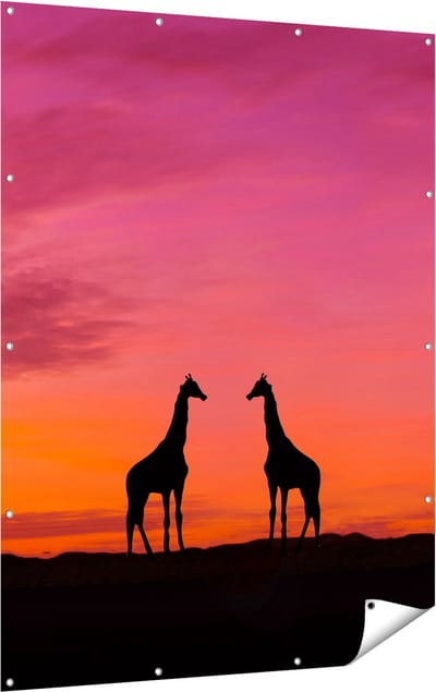 Gards Tuinposter Twee Giraffe Silhouetten bij Zonsondergang - 120x160 cm - Tuindoek - Tuindecoratie - Wanddecoratie buiten - Tuinschilderij