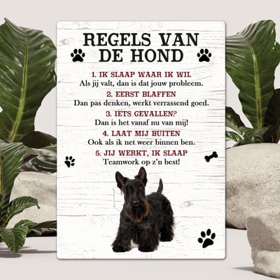 Spreuken - Schotse Terriër - Regels Van De Hond - Spreuken Bordjes - Spreukenbord - Tekstborden - Cadeau - Hondenras