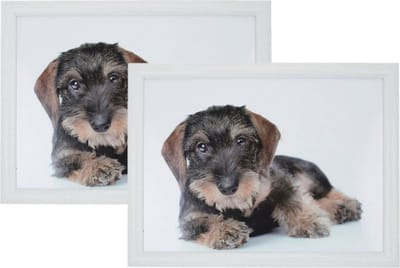 2x Schootkussens/laptrays teckel print 43 x 33 cm - Schoottafels - Dienbladen voor op schoot teckel