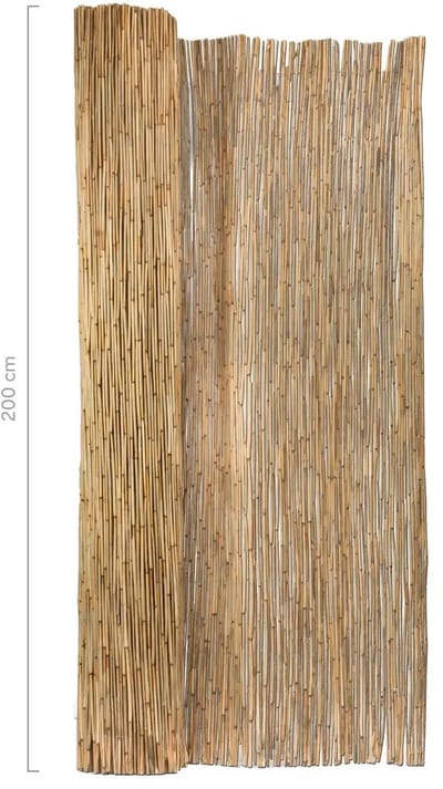 Masters of Bamboo® Rietmat Royal 8-10 mm - 600 x 200 cm - Natuurlijke schutting op rol - Tuinafscheiding van riet