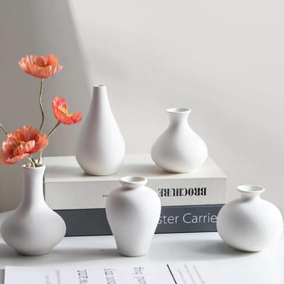 Vaas wit, vazenset-5 kleine witte vazen voor decor vers bloemen pampasgras, moderne tafeldecoratie voor woonkamer, eettafel, boekenplank en schoorsteenmantel (wit)