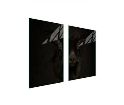 TMK ArtDeko - Beschermende Glazen Plaat - 65x52 cm - Kookplaat Achterwand - Transparant - Motief Koza