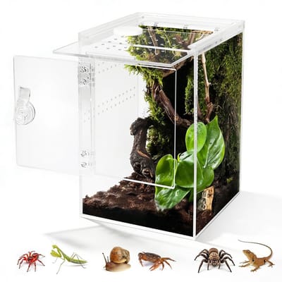 Dailygoods- Terrarium 360° Uitzicht - Acryl Terrarium 15x15x29cm - Vogelspinnenkooi - Waterdichte Reptielenhouder - Klimruimte - Draaiknopsluiting - Dierenverblijf