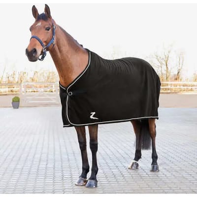 Het drogen van paardenvacht Horze