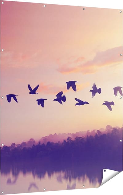 Gards Tuinposter Silhouet Vogels tijdens Zonsondergang - 120x160 cm - Tuindoek - Tuindecoratie - Wanddecoratie buiten - Tuinschilderij