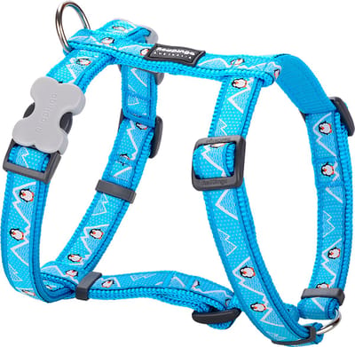 Animal Boulevard Dh-pe-tq-25 - Hals- En Leibanden - Hond - Rd Harnas Penguin Turquoise-l - Maat: L - 206057