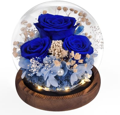 Dailygoods- Eeuwige Roos in Glas met Licht - Geconserveerde Bloemen - Uniek Cadeau voor Vrouwen - Woondecoratie - Valentijnsdag/Jubileum - Inclusief Wenskaart - Geconserveerde Rozen