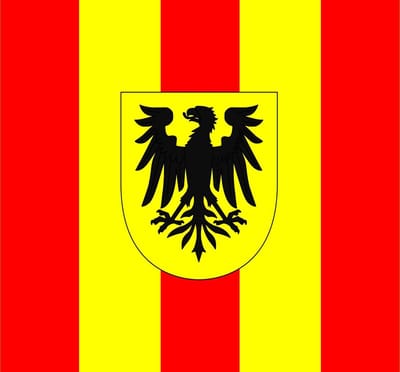 Vlag Mechelen 100x150cm