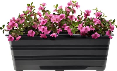 KADAX Wamat, 40 cm, met onderzetters, antraciet, balkonpot van kunststof, weerbestendige plantenbak, bloempot, balustrade voor bloemen, kruiden