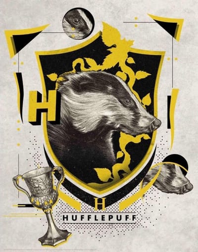 FaNaTik Poster - Harry Potter Gryffindor - 28 X 36 Cm - Multicolor