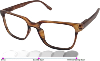 Leesbril Vista Bonita Cubo Photochromic-Amber Dawn-+1.00
