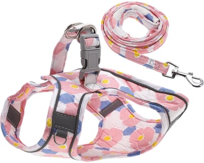 Dailygoods- Harnas Hond - Reflecterende Strepen - Ademend Polyester - Veilig Sluitsysteem - Duurzaam - Comfortabele Pasvorm - Huisdierharnas