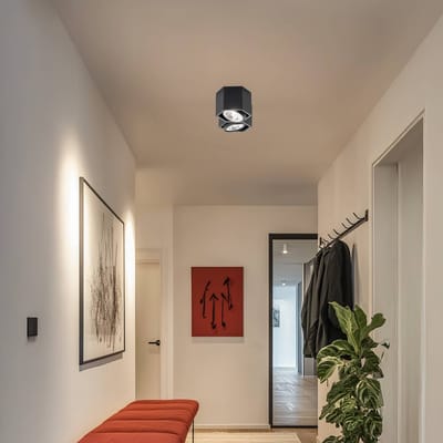 Euluna Plafondlamp Elvas zwenkbaar 2-lamps zwart