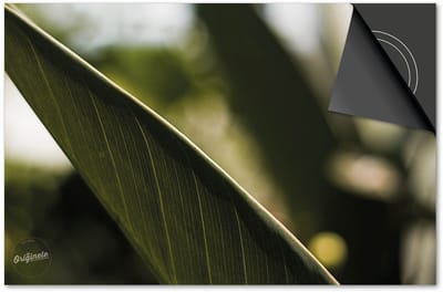 Inductie beschermer 60x60 - afdekplaat inductie mat - Dietrix Kookplaat beschermer - Exclusief - Leaves - 1 Blad ingezoomd