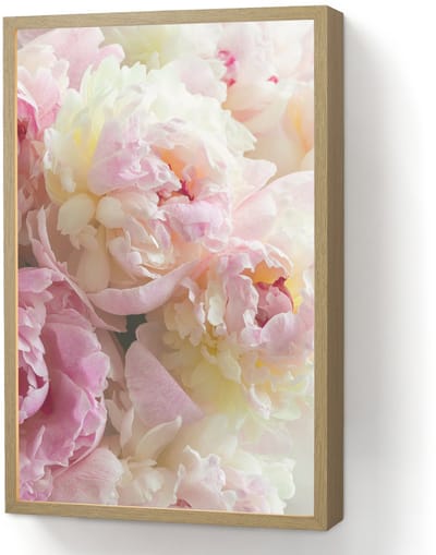 Wandlamp 40x60 cm - Oplaadbaar - Vintage - Bloemen - Rozen - Natuur - Wandlampen binnen woonkamer - Slaapkamer lamp - Decoratieve nachtlamp - Vloerlamp draadloos