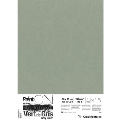 Clairefontaine Paint On - Tekenpapier - Groot formaat - 50x65 cm - 250g - Grijs Groen - 15 vel