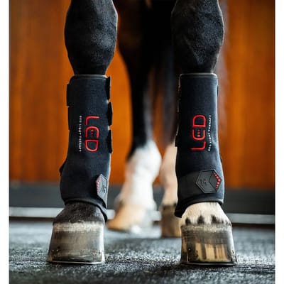 Lichttherapie peesbeschermers voor paarden Horseware (x2)