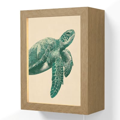 Wandlamp 15x20 cm - Oplaadbaar - Schildpad - Sierlijk - Groen - Schild - Wandlampen binnen woonkamer - Slaapkamer lamp met kabel - Decoratieve nachtlamp - Vloerlamp snoer