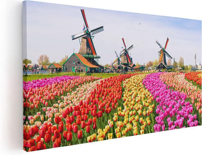 Artaza Canvas Schilderij Tulpenveld - 40x20 cm - Klein - Wanddecoratie Molen - Muurdecoratie Holland - Schilderijen Op Canvas Bloemen