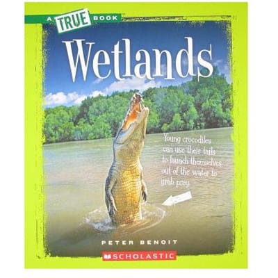 Wetlands - PETER BENOIT