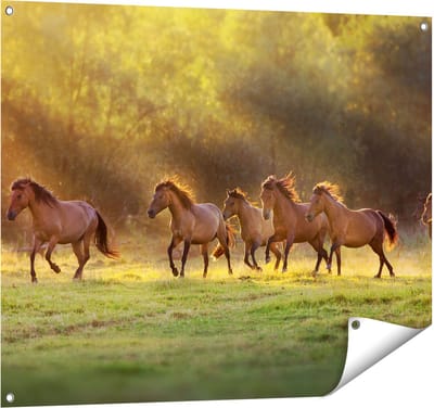 Gards Tuinposter Kudde Bruine Paarden in de Wei - 100x80 cm - Tuindoek - Tuindecoratie - Wanddecoratie buiten - Tuinschilderij