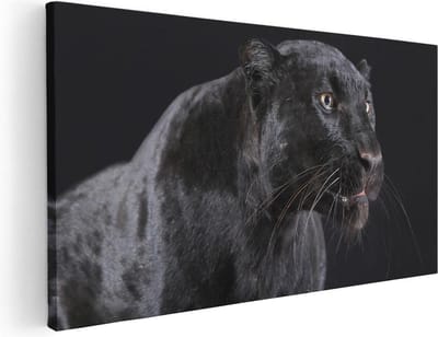 Artaza Canvas Schilderij Panter - 40x20 cm - Klein - Wanddecoratie Dieren - Muurdecoratie Zwarte Panter - Schilderijen Op Canvas