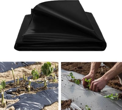 Onkruiddoek - Mulchfolie Tuin - Planten Beschermen - Herbruikbaar Polyethyleen - 2 x 6 meter - Zwart