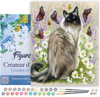 Figured'Art Schilderen op Nummer Volwassenen met lijst - Ontdekking van vlinders - Handwerk acrylverf Kit DIY Compleet - 40x50cm Canvas al ingelijst