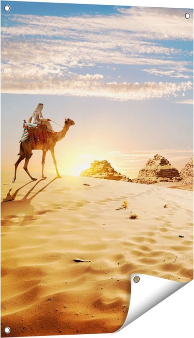 Gards Tuinposter Egyptische Piramides met een Kameel - 60x90 cm - Tuindoek - Tuindecoratie - Wanddecoratie buiten - Tuinschilderij