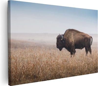 Artaza Canvas Schilderij Buffel - 30x20 cm - Klein - Wanddecoratie Wilde Dieren - Muurdecoratie Natuur - Kamer Accessoires Landschap