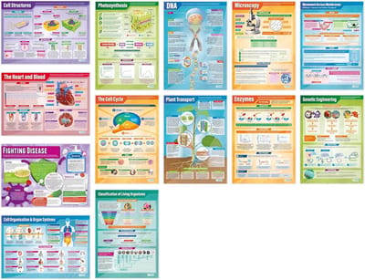 Set van 13 Biologie Posters voor School en Onderwijs - Groot Formaat A1 Kwaliteit