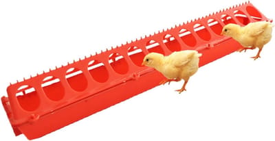 Kleine Kippenvoederautomaat - Pluimvee voerbak - Voer verspilling tegengaan - Voorkomt voeruitschrapen - 50x10x10 cm - Rood