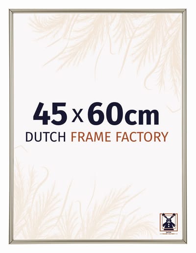 Fotolijst 45x60 cm - Kunststof - Champagne - Angers