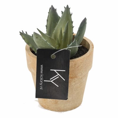 HomeBound by KY | Vetplantje kunst in pot | kunstplant