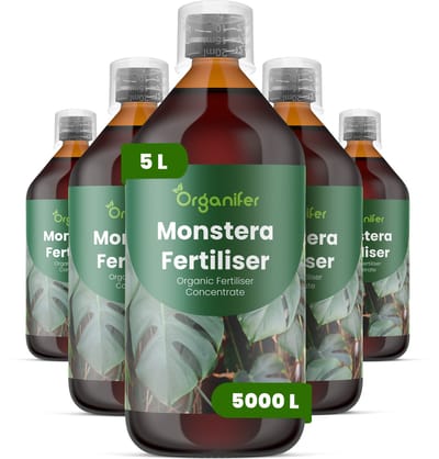 Vloeibare Meststof Voor Monstera 5X1 L Voor 5000 L - Npk 3-4-3 - Ondersteunt Krachtige Tropische Groei Bij Alle Monstera - Versterkt Het Wortelstelsel En Ondersteunt De Vitaliteit Van Luchtwortels - Ondersteunt Langdurige Gezondheid - Organifer