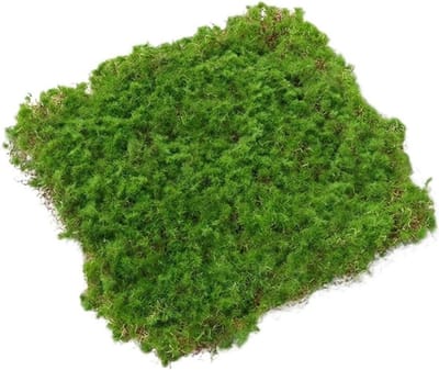 Kunstgras Decoratie - Mos Tapijt - Buiten Decoreren - Natuurlijk Uiterlijk - 20x20 of 30x30 cm - Groen