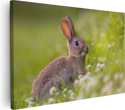 Artaza Canvas Schilderij Konijn In Het Gras - 30x20 cm - Klein - Wanddecoratie Bos - Muurdecoratie Dieren - Kamer Accessoires Natuur