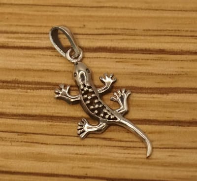 Sterling zilveren hanger van een gekko - zilver hangertje gekko - leuke dieren hangertje voor aan ketting - mooie zilveren hanger met diertje - gekko zilveren hanger voor aan ketting - moederdag, verjaardag, feestdagen cadeau tip - 925 zilver hanger