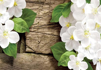 Fotobehang Wood Flowers | XL - 208cm x 146cm | 130g/m2 Vlies
