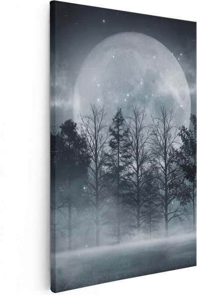 Artaza Canvas Schilderij Bos Bij Nacht - 20x30 cm - Klein - Wanddecoratie Maan - Muurdecoratie Landschap - Kamer Accessoires Mist