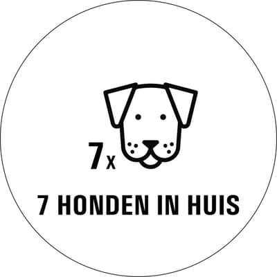 Honden in huis sticker - 80 x 80 mm 7