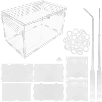 Dailygoody - Acryl Reptielen Voedingsdoos - Transparante Fokdoos - Duurzaam en sterk - Large (20x12x12cm) - Voor Insecten en Hagedissen - Perfect voor.