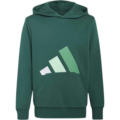 Adidas Essentials Hoodie Groen 13-14 Years Kinderen
